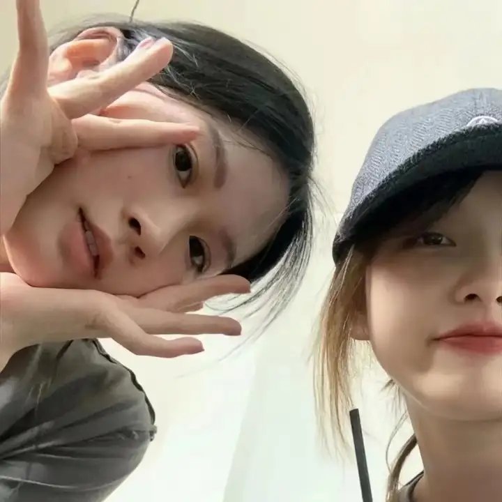 笨鸟满天飞